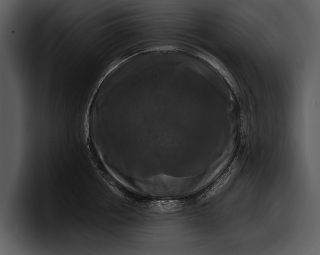 X0000100310858200806190941