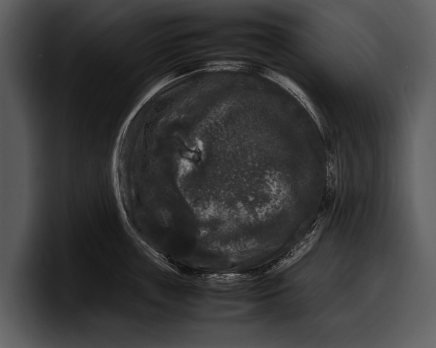 X0000100310859200806190941