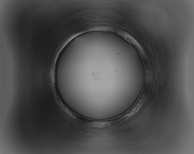 X0000100310860200806190941