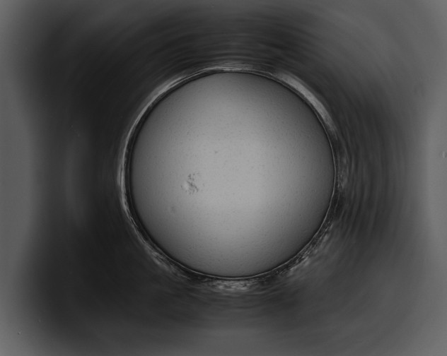 X0000100310861200806190941