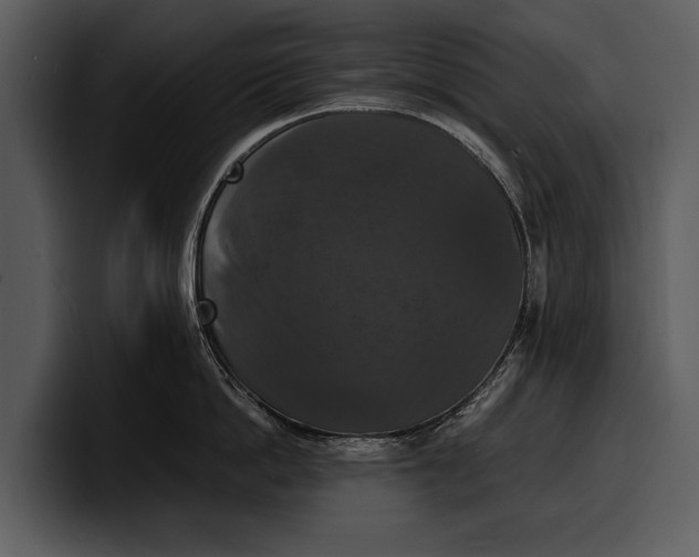 X0000100310862200806190941