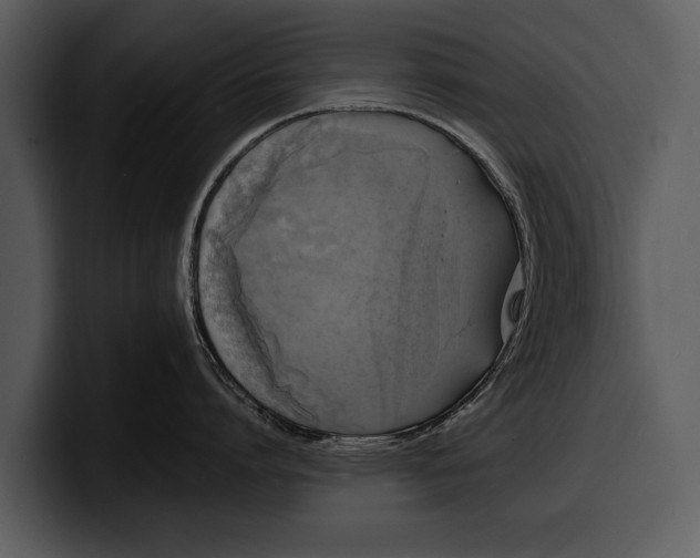 X0000100310864200806190941