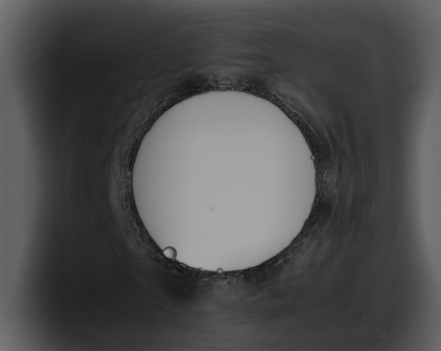 X0000100310865200806190940