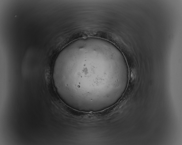 X0000100310867200806190940