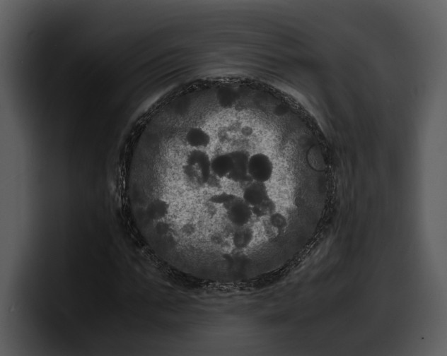 X0000100310871200806190940