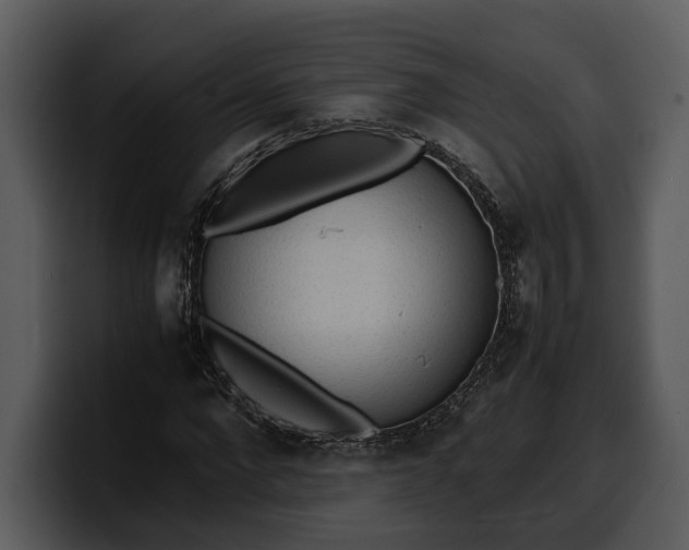 X0000100310872200806190940