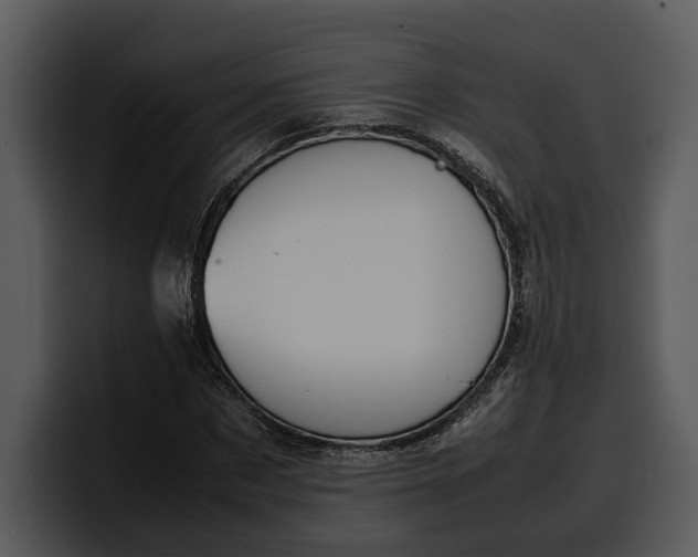 X0000100310873200806190940