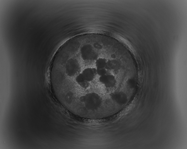 X0000100310875200806190940
