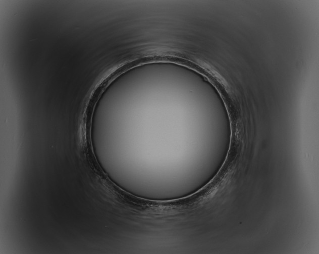X0000100310877200806190940