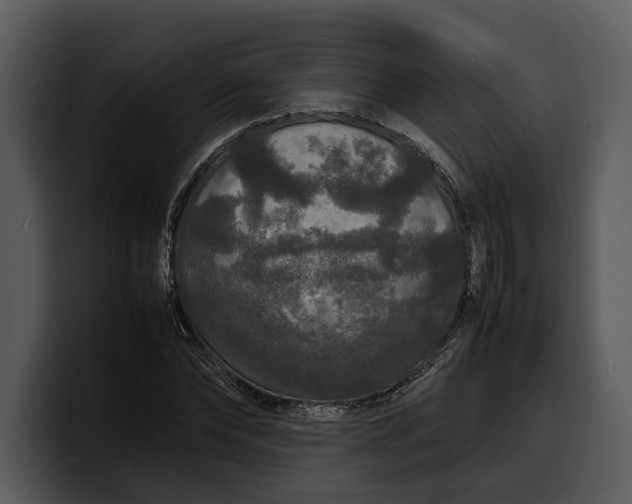 X0000100310878200806190940