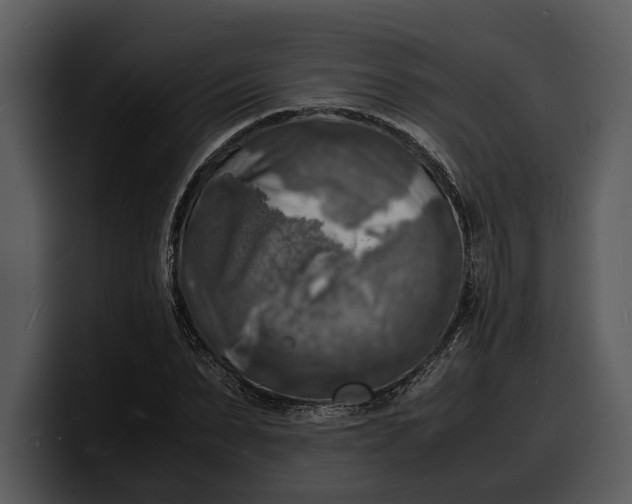 X0000100310879200806190940