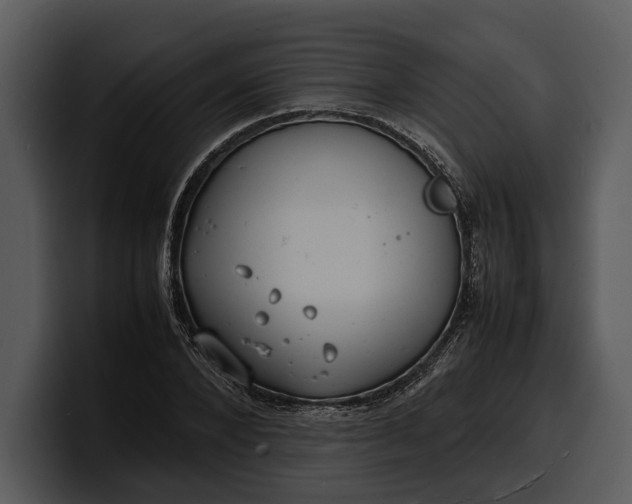 X0000100310880200806190940