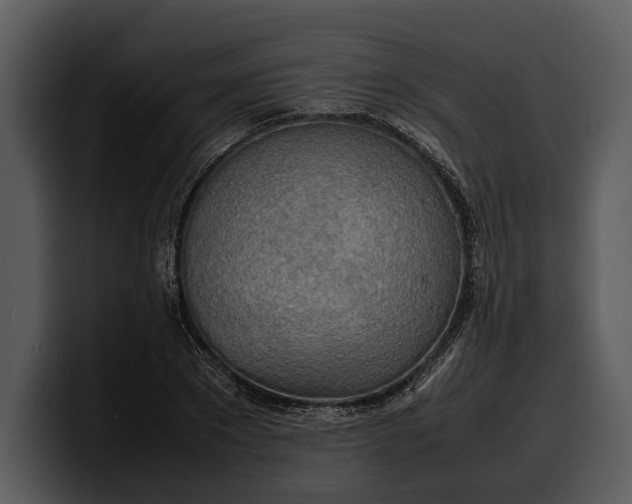 X0000100310881200806190940