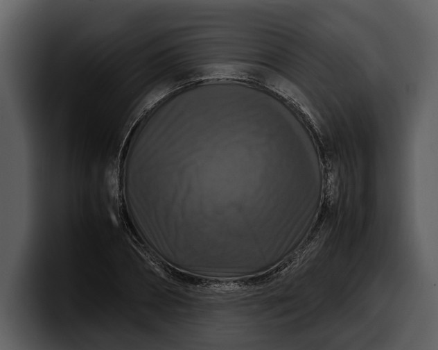 X0000100310882200806190940