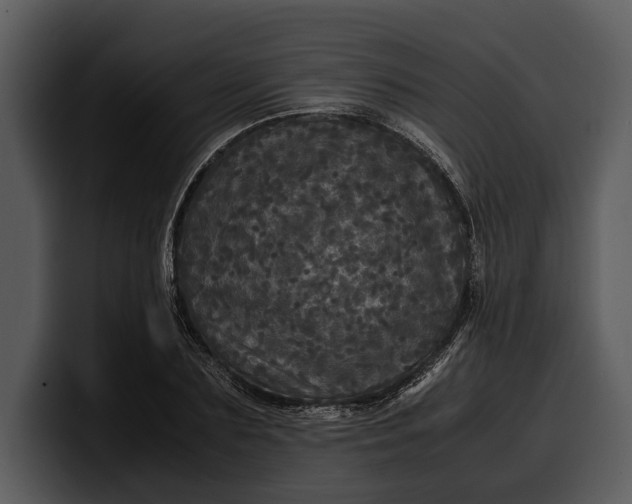 X0000100310883200806190940