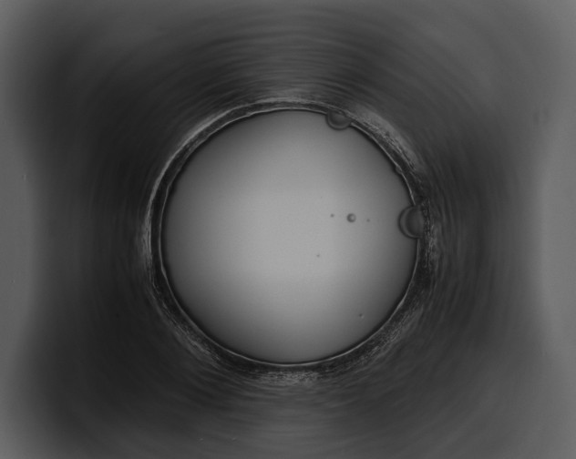 X0000100310884200806190940