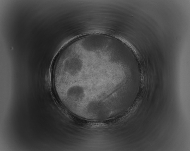 X0000100310886200806190940