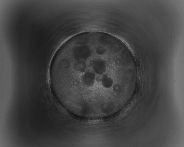 X0000100310887200806190940