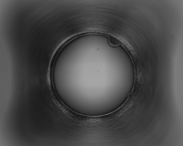 X0000100310888200806190940