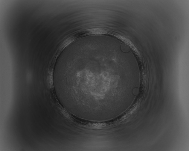 X0000100310889200806190940