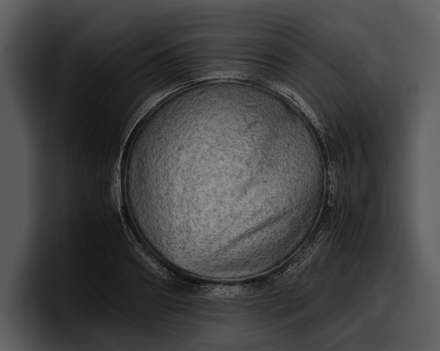 X0000100310890200806190940