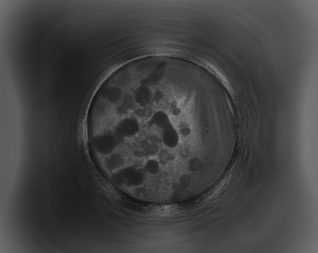 X0000100310891200806190940