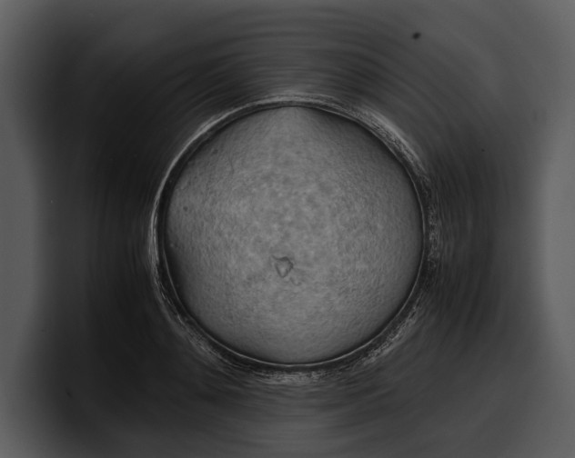 X0000100310892200806190940