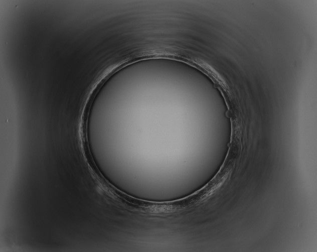 X0000100310893200806190940