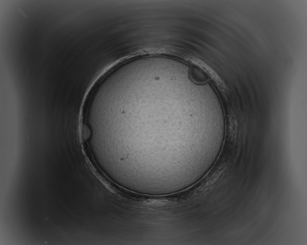X0000100310894200806190940