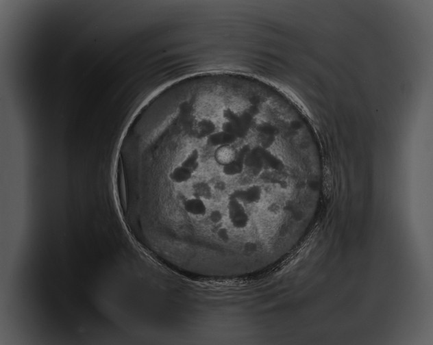 X0000100310895200806190940