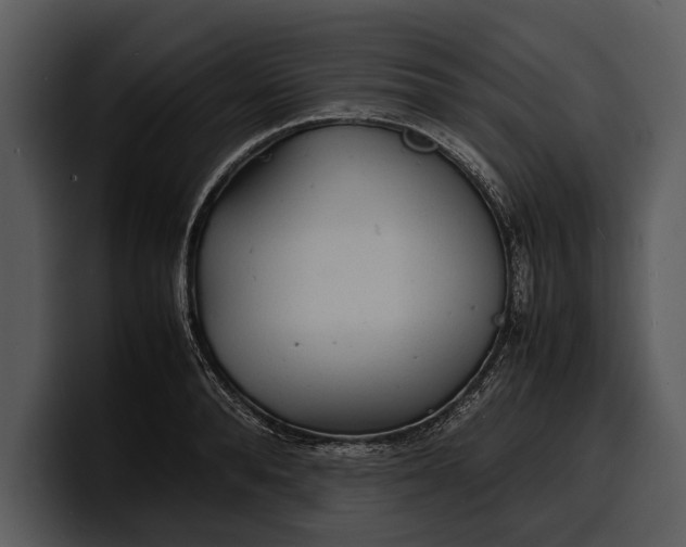 X0000100310896200806190940