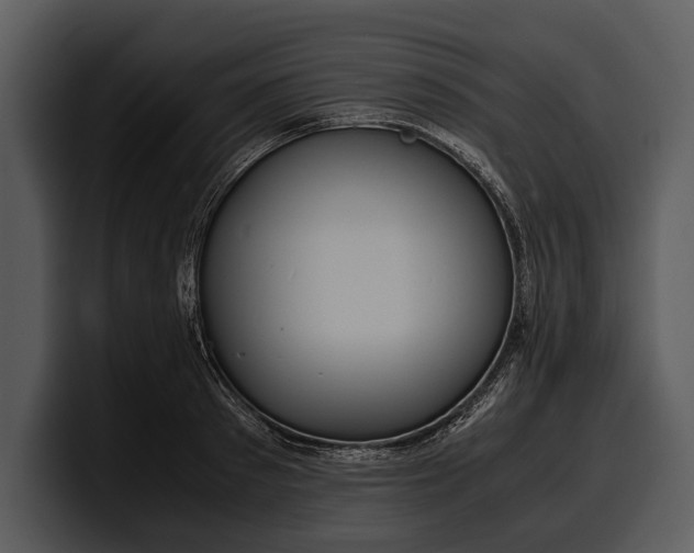 X0000100310897200806190940