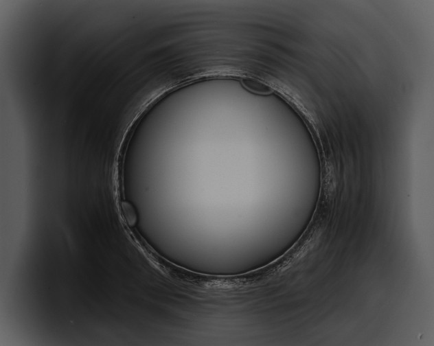 X0000100310898200806190940