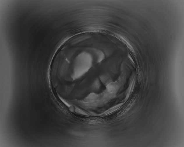 X0000100310899200806190940