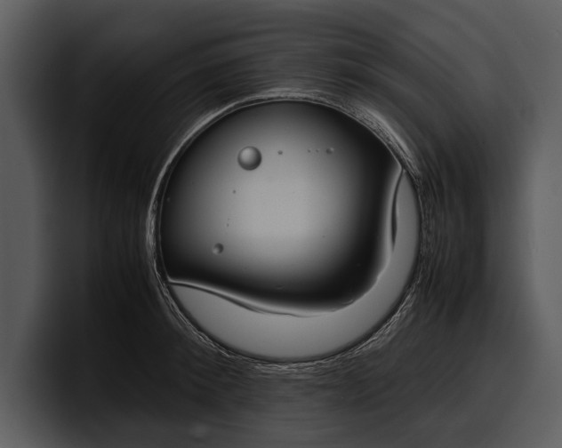 X0000100310900200806190940