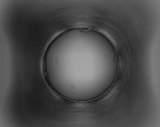 X0000100310901200806190940