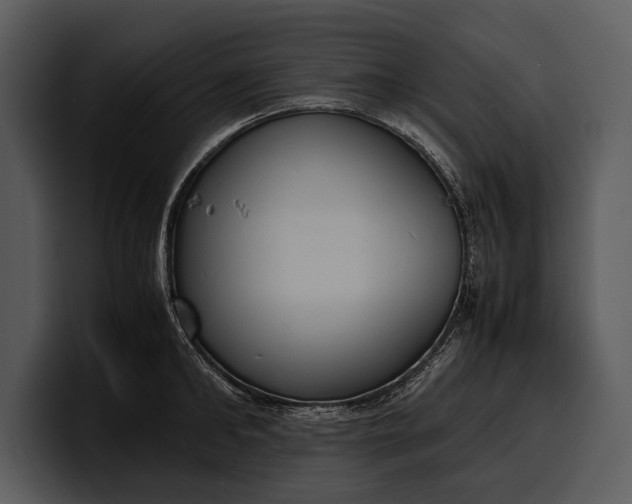 X0000100310902200806190940