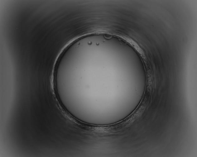 X0000100310904200806190940