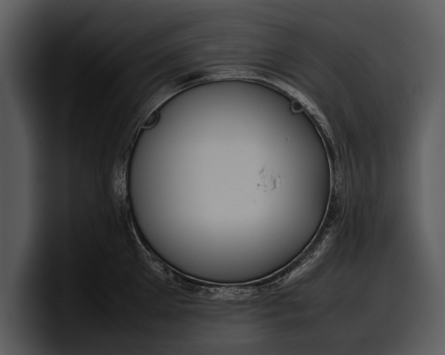 X0000100310905200806190940