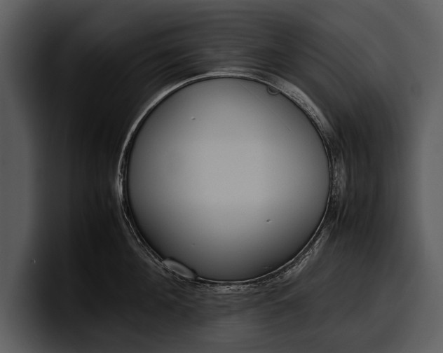 X0000100310908200806190940