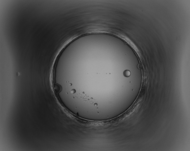 X0000100310909200806190940