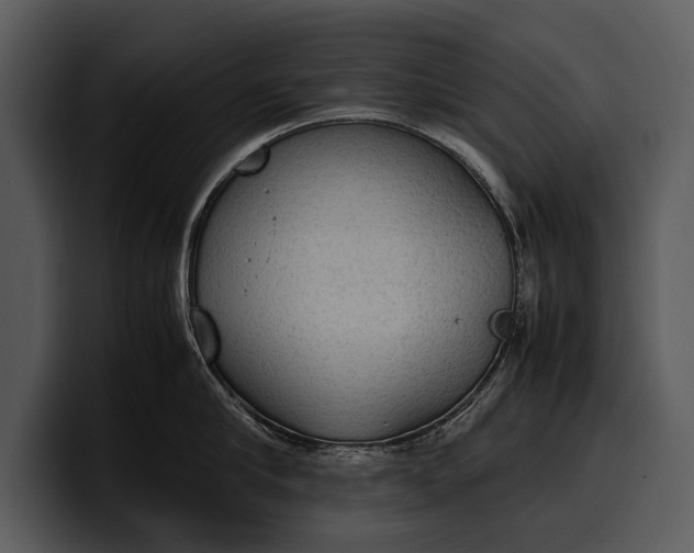 X0000100310910200806190940
