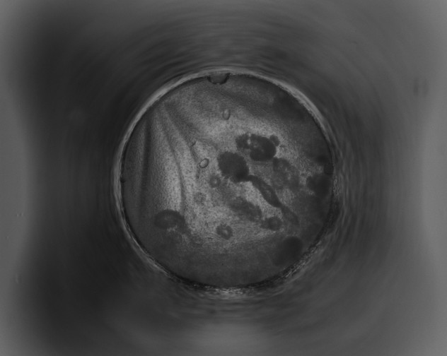 X0000100310911200806190940
