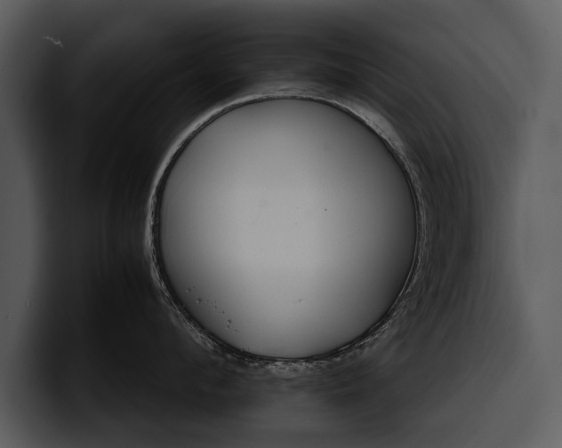 X0000100310912200806190940