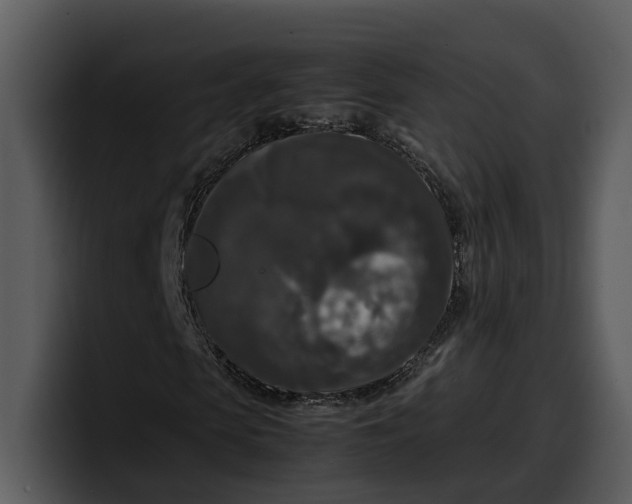 X0000100310913200806190939