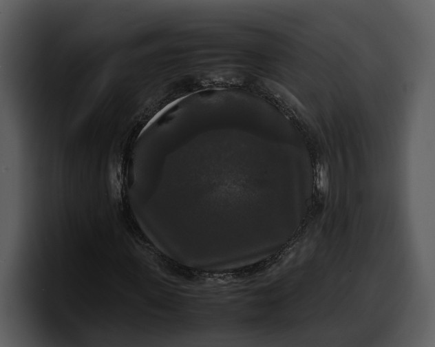X0000100310915200806190939