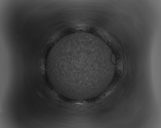 X0000100310916200806190939