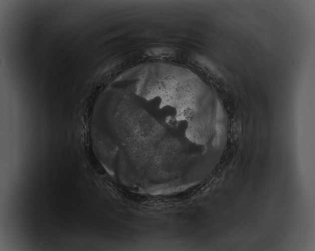 X0000100310917200806190939