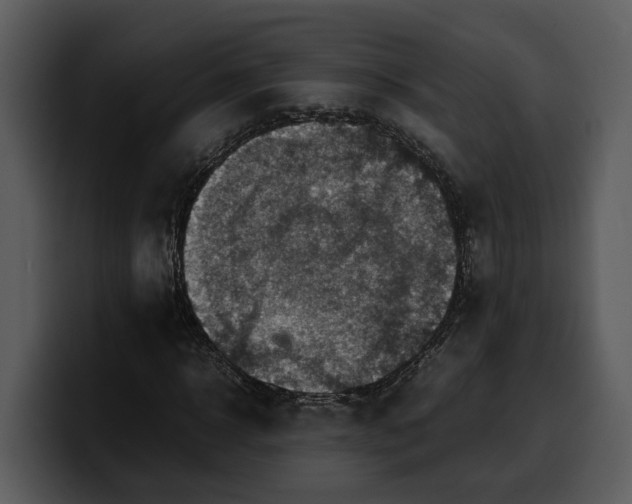 X0000100310918200806190939