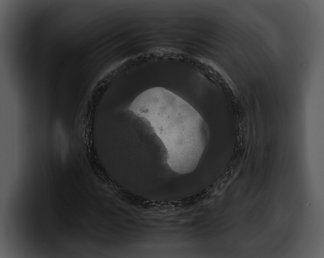 X0000100310919200806190939